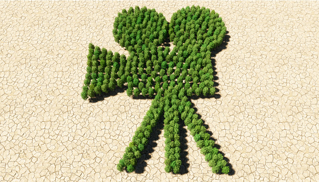 الإعلام العربي وتغير المناخ.. إدراك الخطر وإثارة الوعي