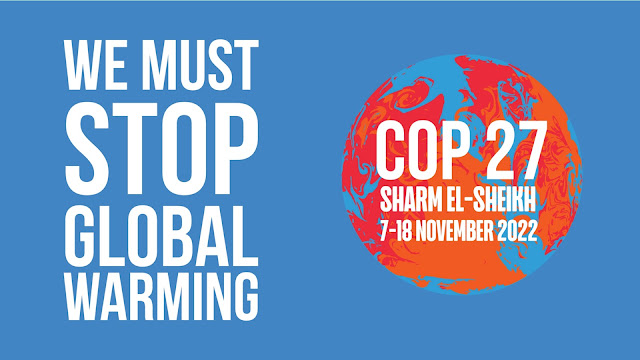COP27.. فن إدارة الزخم
